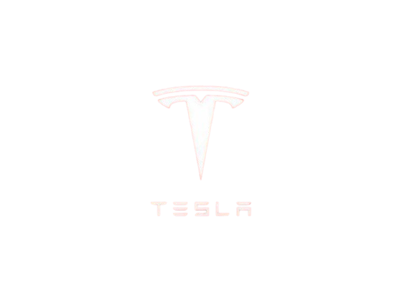 TESLA STOCK AMBERT