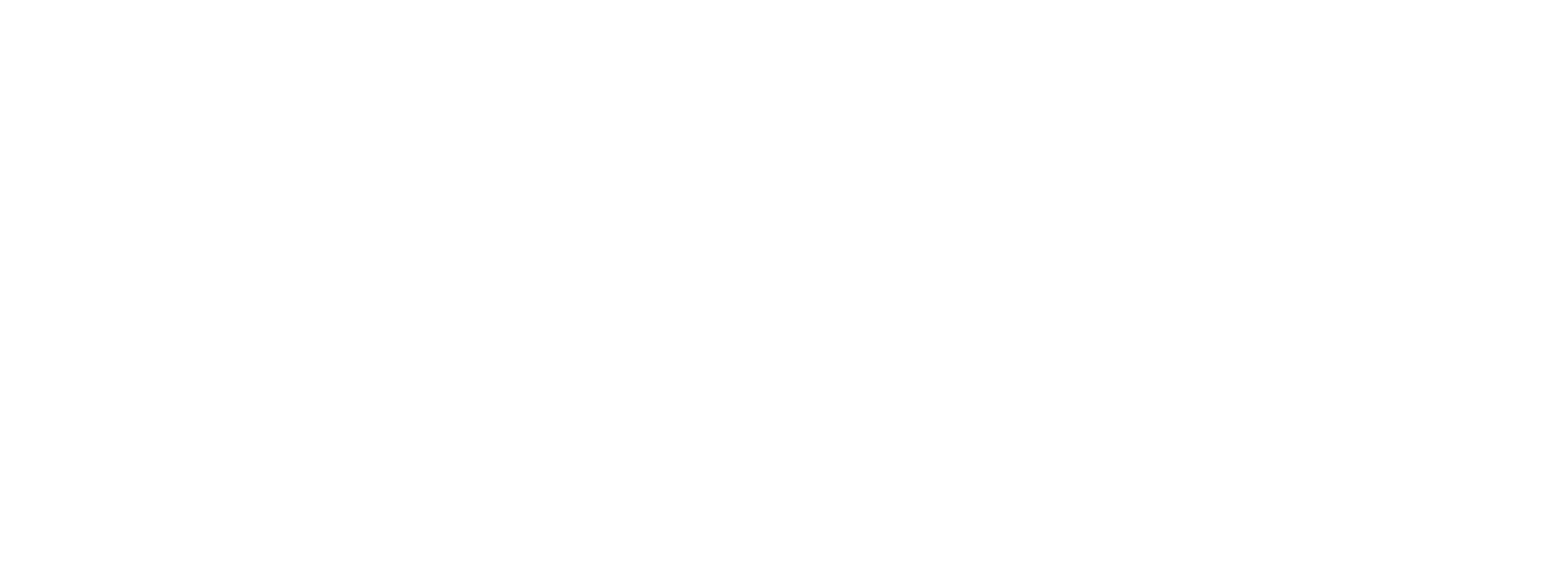 TESLA STOCK AMBERT